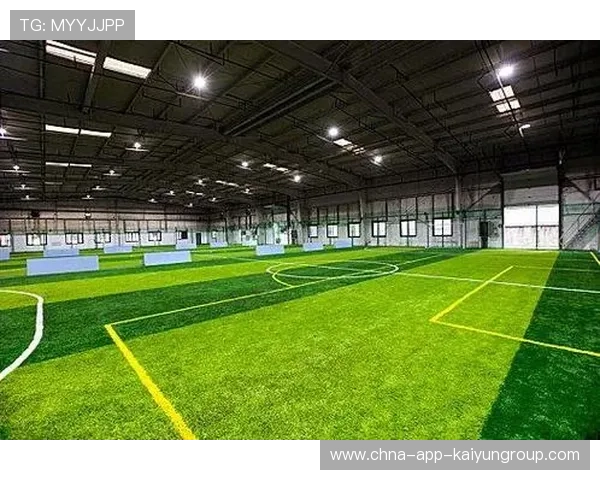 足球行业是否推动建立绿色节能型球场设施标准，足球场地设施建设